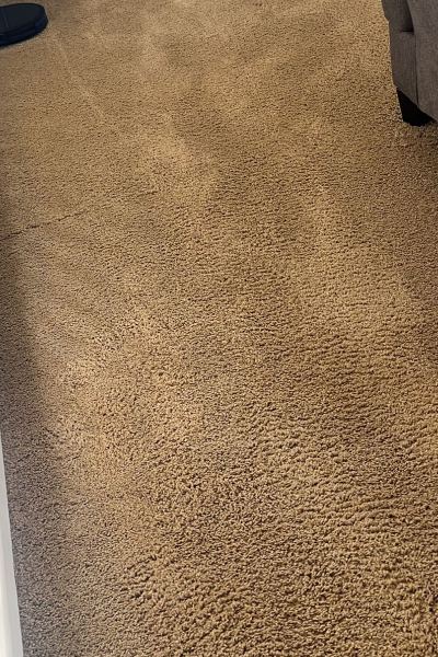 Perfect Home Carpet Care carpet cleaning in Horsham, PA